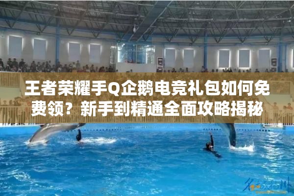 王者榮耀手Q企鵝電競禮包如何免費領(lǐng)？新手到精通全面攻略揭秘！