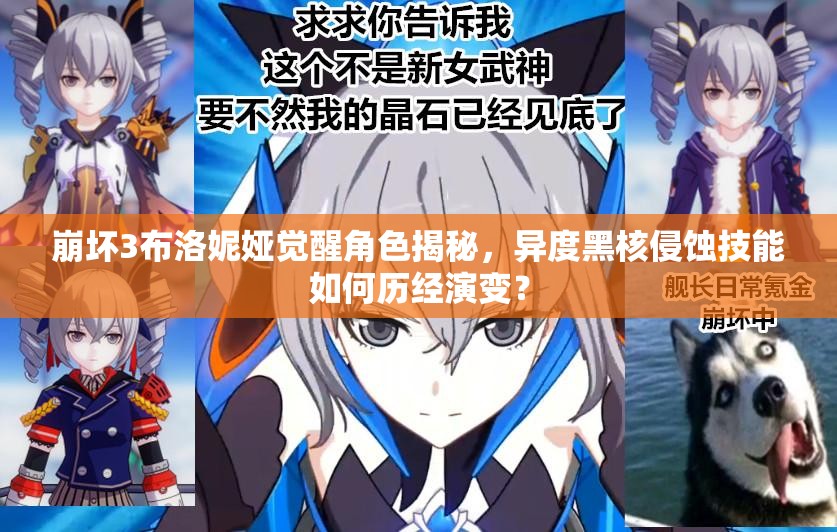 崩壞3布洛妮婭覺醒角色揭秘，異度黑核侵蝕技能如何歷經(jīng)演變？