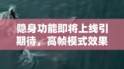 隱身功能即將上線引期待，高幀模式效果不佳，玩家全面攻略何在？
