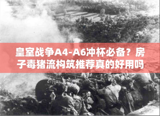 皇室戰(zhàn)爭(zhēng)A4-A6沖杯必備？房子毒豬流構(gòu)筑推薦真的好用嗎？