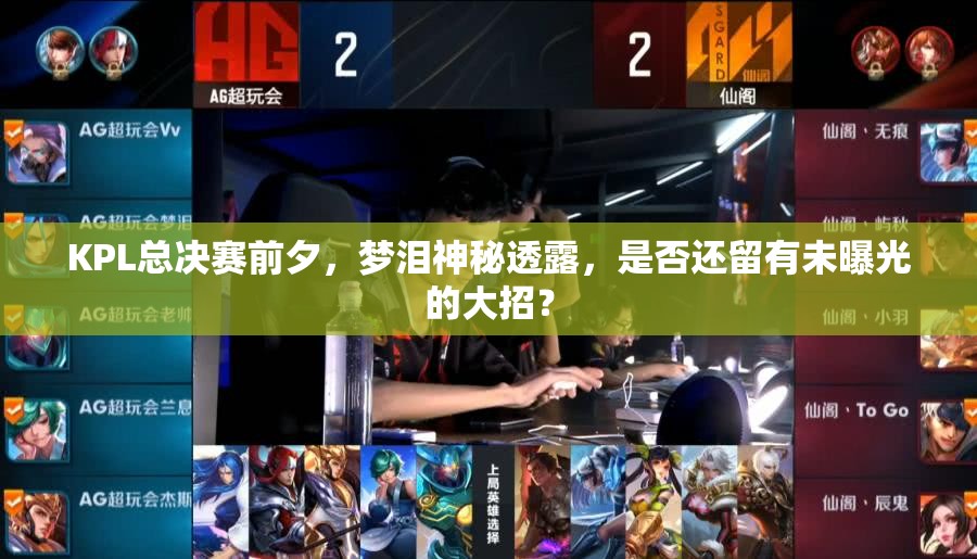 KPL總決賽前夕，夢(mèng)淚神秘透露，是否還留有未曝光的大招？
