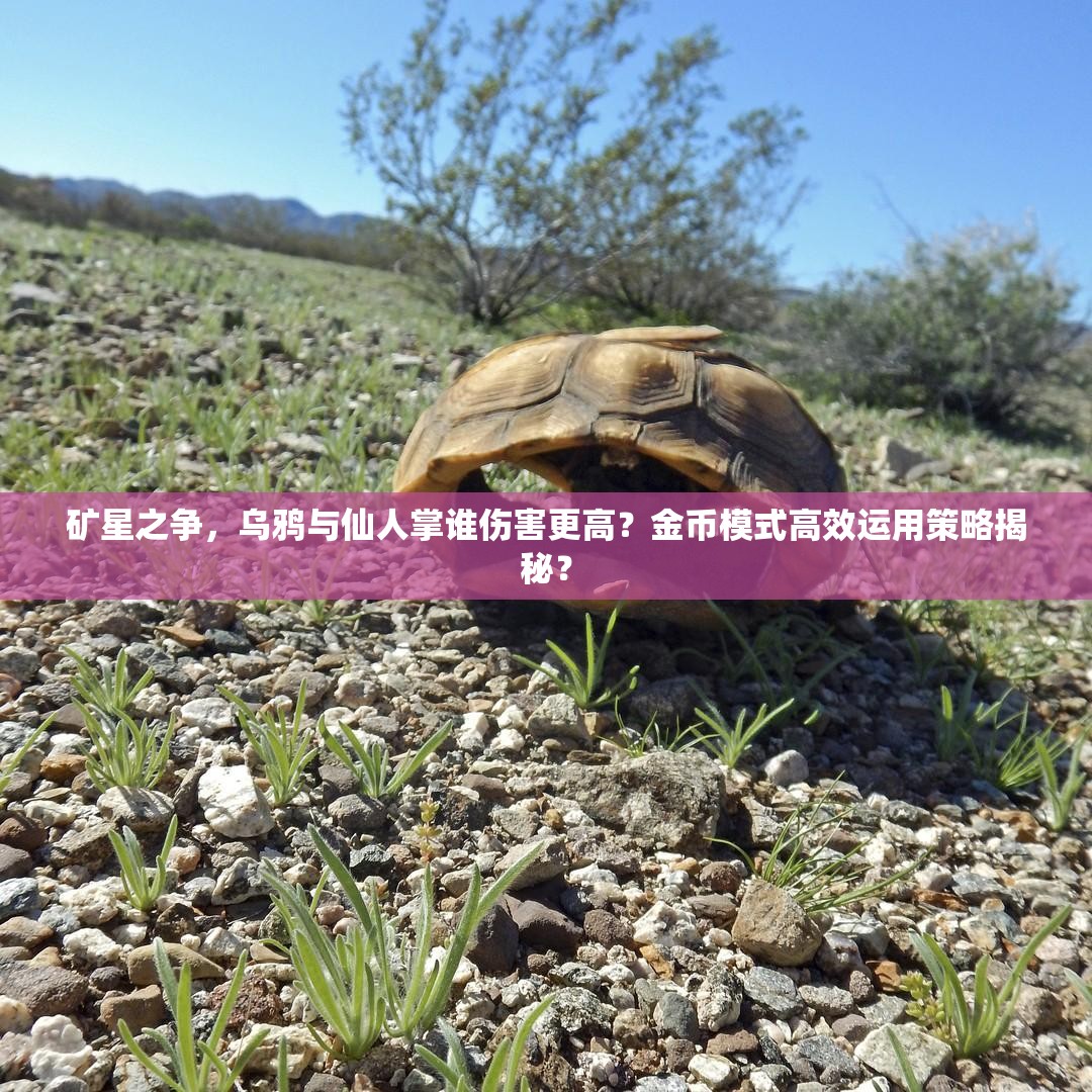 礦星之爭(zhēng)，烏鴉與仙人掌誰(shuí)傷害更高？金幣模式高效運(yùn)用策略揭秘？