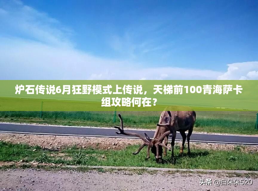 爐石傳說(shuō)6月狂野模式上傳說(shuō)，天梯前100青海薩卡組攻略何在？