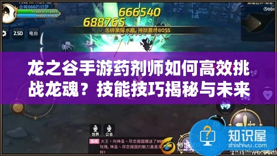 龍之谷手游藥劑師如何高效挑戰(zhàn)龍魂？技能技巧揭秘與未來玩法展望