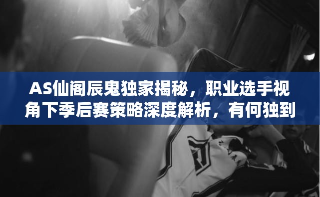 AS仙閣辰鬼獨(dú)家揭秘，職業(yè)選手視角下季后賽策略深度解析，有何獨(dú)到見(jiàn)解？