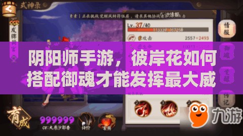 陰陽師手游，彼岸花如何搭配御魂才能發(fā)揮最大威力？