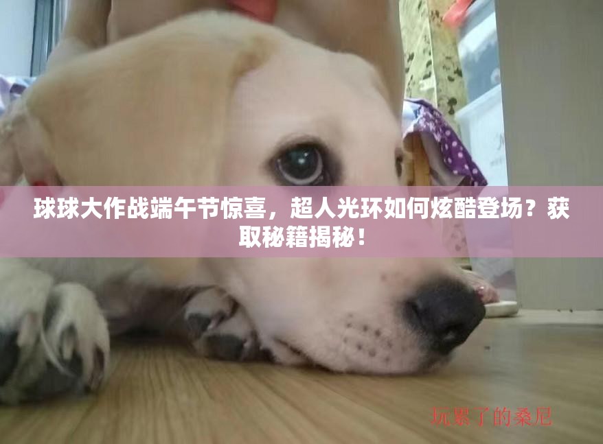 球球大作戰(zhàn)端午節(jié)驚喜，超人光環(huán)如何炫酷登場(chǎng)？獲取秘籍揭秘！