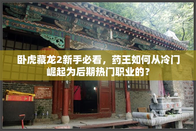 臥虎藏龍2新手必看，藥王如何從冷門崛起為后期熱門職業(yè)的？