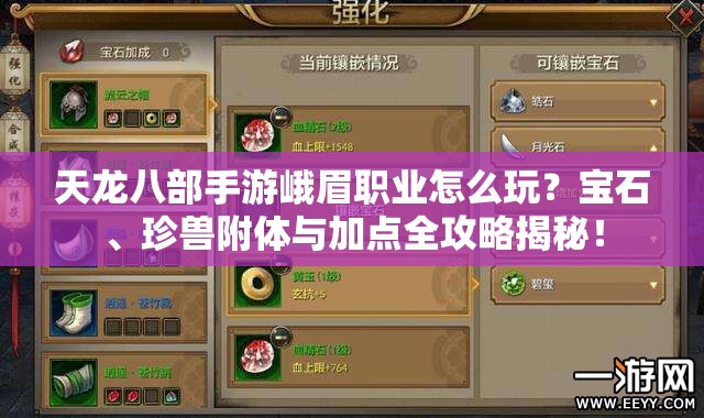天龍八部手游峨眉職業(yè)怎么玩？寶石、珍獸附體與加點全攻略揭秘！