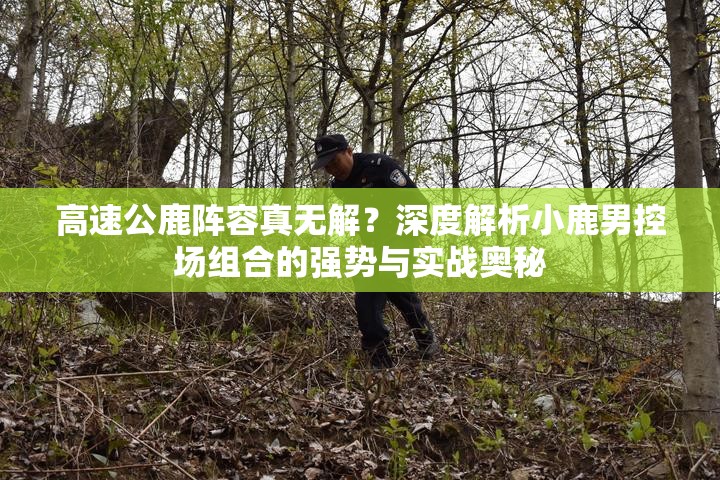 高速公鹿陣容真無解？深度解析小鹿男控場組合的強(qiáng)勢與實(shí)戰(zhàn)奧秘