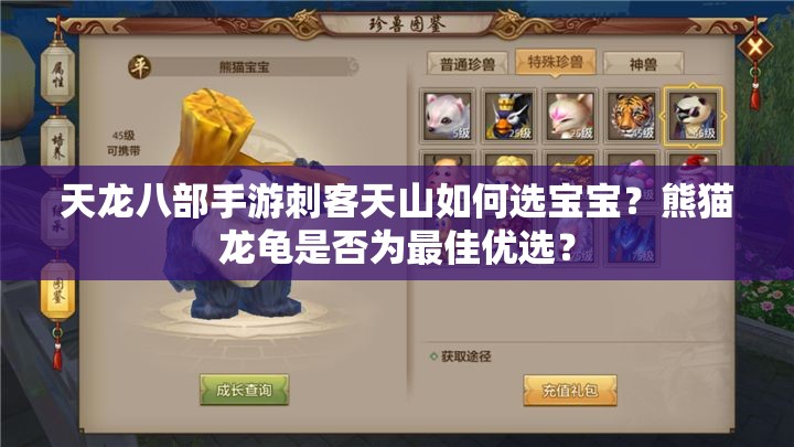 天龍八部手游刺客天山如何選寶寶？熊貓龍龜是否為最佳優(yōu)選？