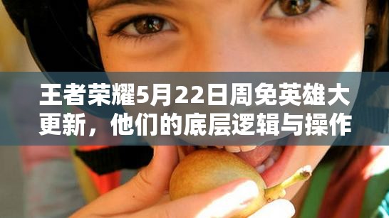 王者榮耀5月22日周免英雄大更新，他們的底層邏輯與操作有何深度變化？