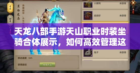 天龍八部手游天山職業(yè)時(shí)裝坐騎合體展示，如何高效管理這些炫酷資源？