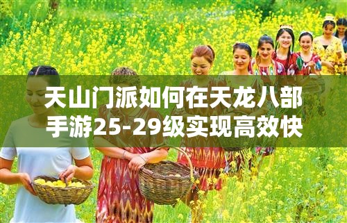 天山門派如何在天龍八部手游25-29級實(shí)現(xiàn)高效快速升級？