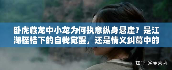 臥虎藏龍中小龍為何執(zhí)意縱身懸崖？是江湖桎梏下的自我覺醒，還是情義糾葛中的終極抉擇？