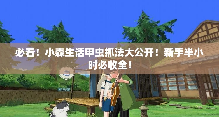 必看！小森生活甲蟲抓法大公開！新手半小時必收全！