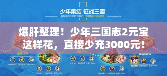 爆肝整理！少年三國志2元寶這樣花，直接少充3000元！