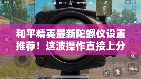 和平精英最新陀螺儀設(shè)置推薦！這波操作直接上分如喝水