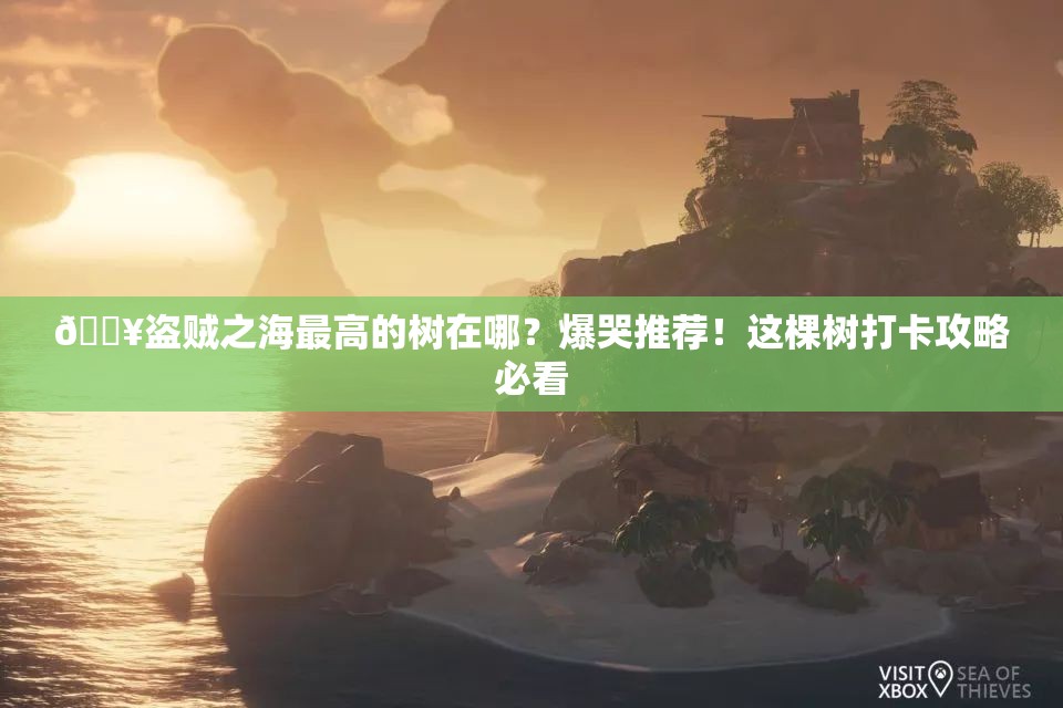 ??盜賊之海最高的樹在哪？爆哭推薦！這棵樹打卡攻略必看